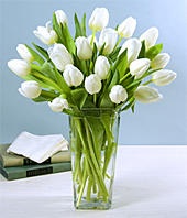 Cam Vazo Beyaz Lale Çiçekleri