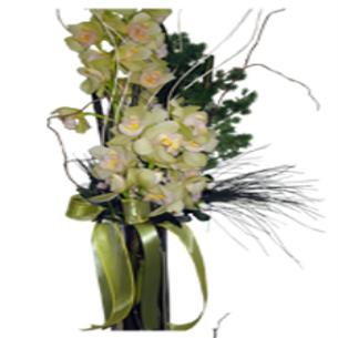 Cam Vazoda Orkide Beyaz 