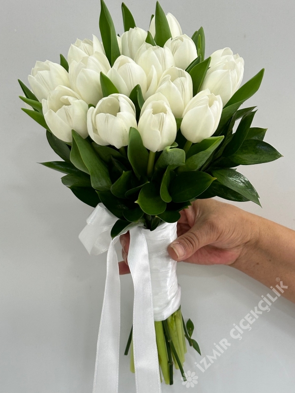 Beyaz Lale İthal Gelin Çiçeği