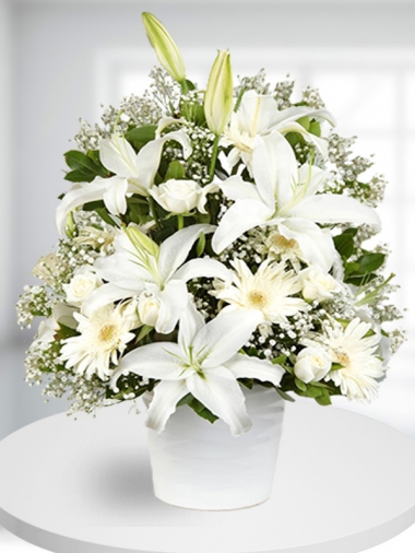Beyaz Çiçek Tasarımı