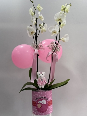 Kız Bebek Beyaz Orkide Tasarım